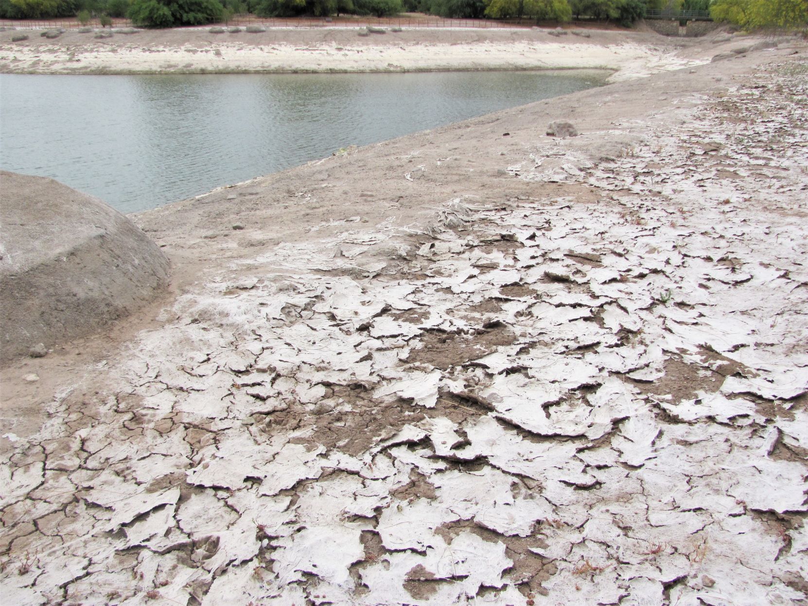 Barren banks